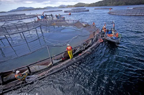 Centro de cultivo de salmones